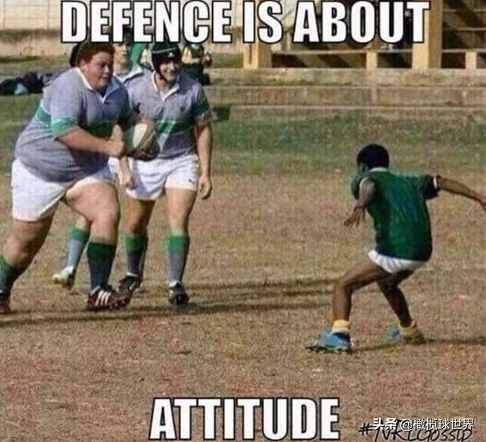 rugby2019,rugby怎么玩