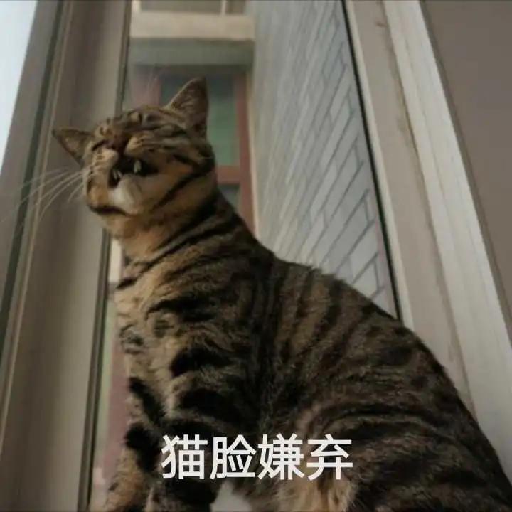 无效遮瑕测评,无效遮脸