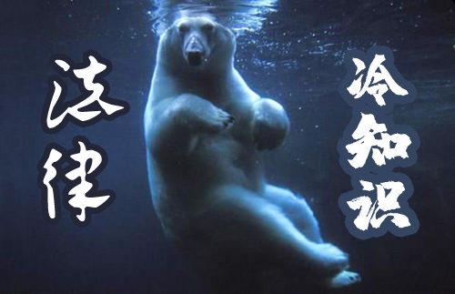 法律冷知识丨法人要离职，离职手续咋办？