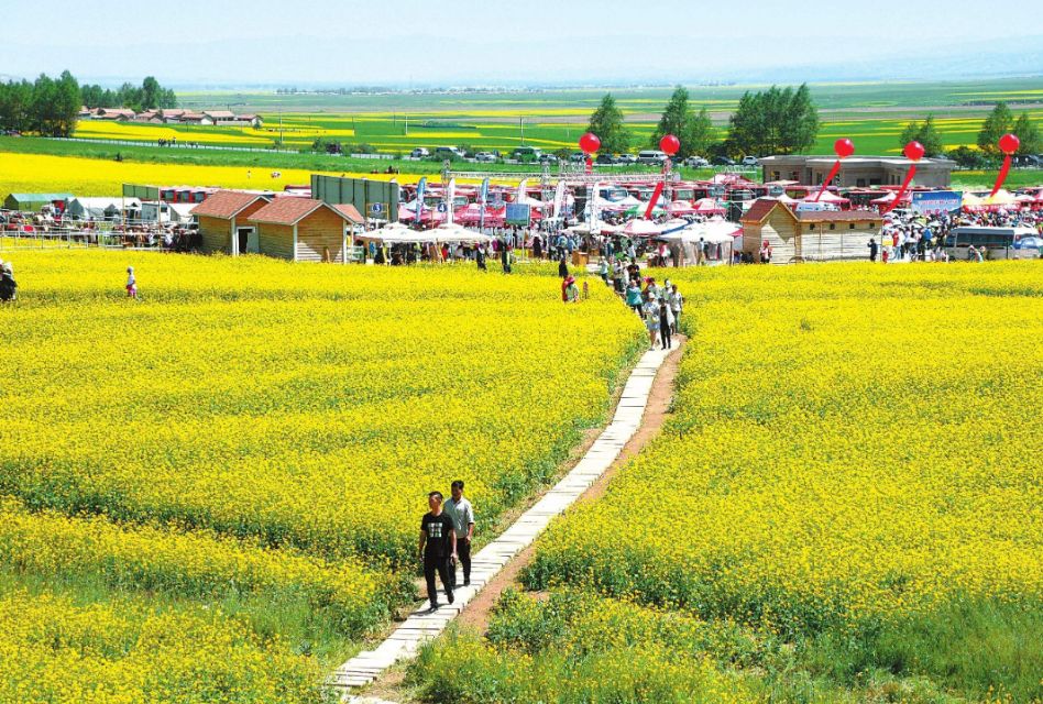 你认为生态农业是什么样的,生态农业的真实感悟