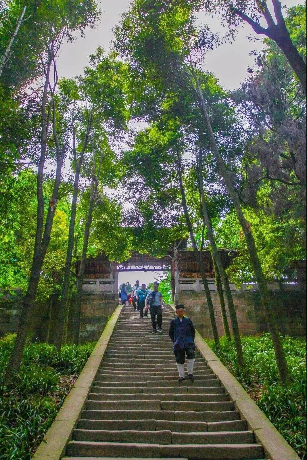 哪些电视剧在都江堰有取景,都江堰取景拍摄电视剧