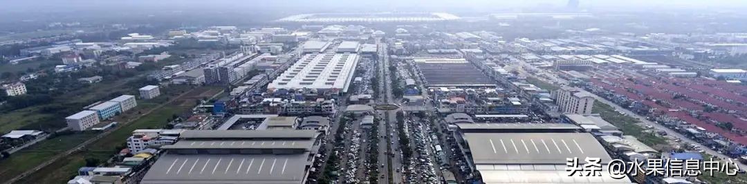 西双版纳水果市场榴莲 (上海亚洲最大的水果批发市场榴莲)