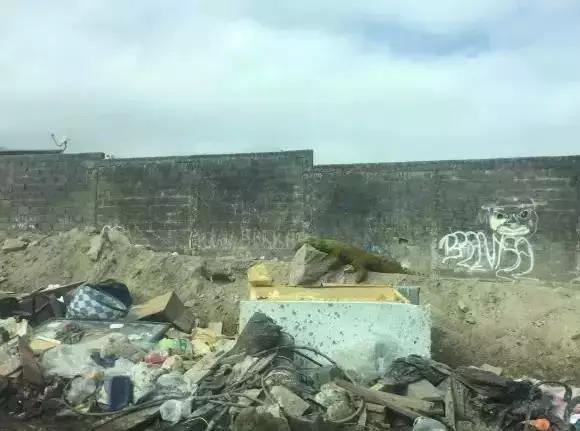 智利贫民窟第一位中国义工，她用绘画治愈流浪汉和罪犯，人美心善