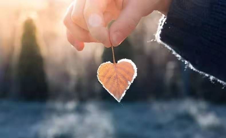 物业管理行业经营模式,物业管理经营模式有哪些