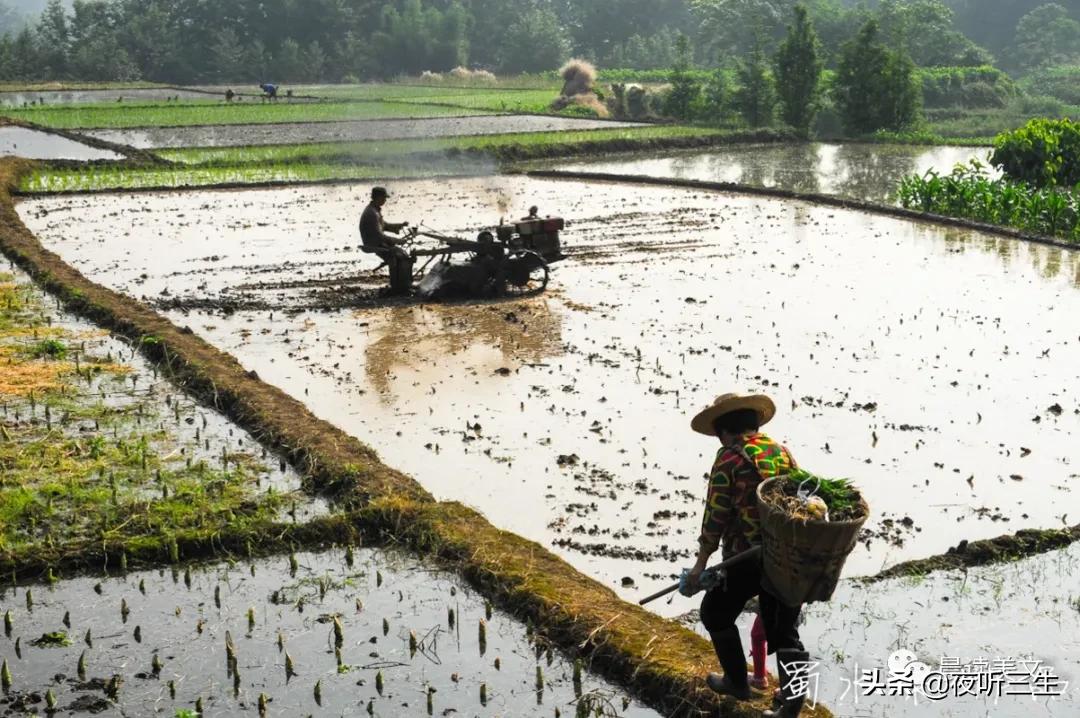 夜听三生全文,夜听三生励志朗诵