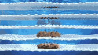 进口大牌洗衣液，天然酵素配方，顽固污渍轻松洗净，连香水都省了