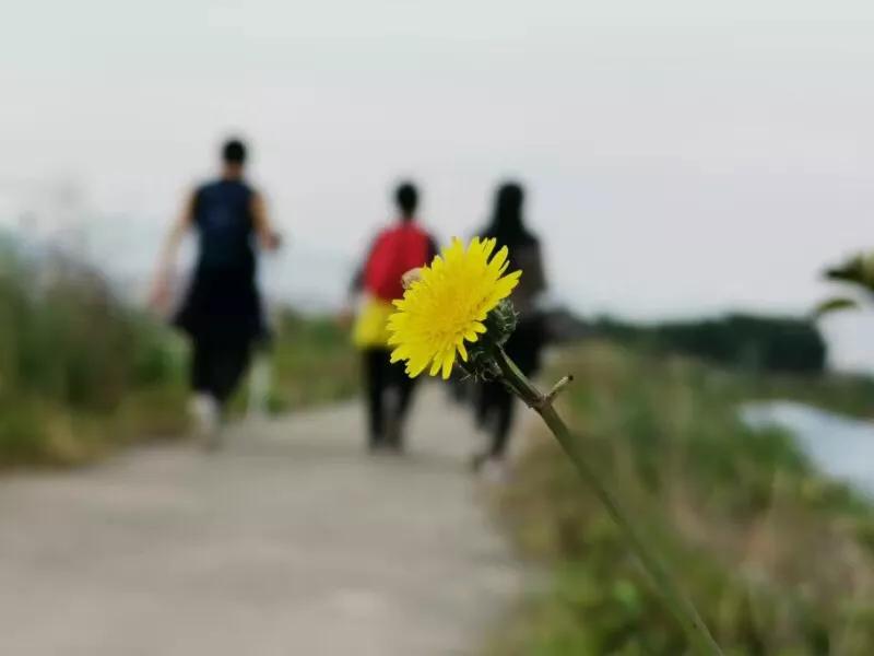 手拍世界近期作品,手拍世界微信公众号