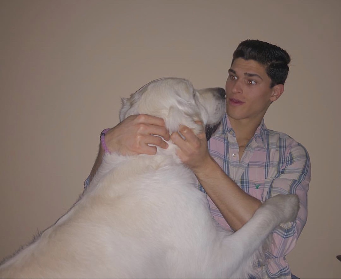 完成学业重新复出，黄金比例的小狼男模狗能否通过时尚的重新洗牌