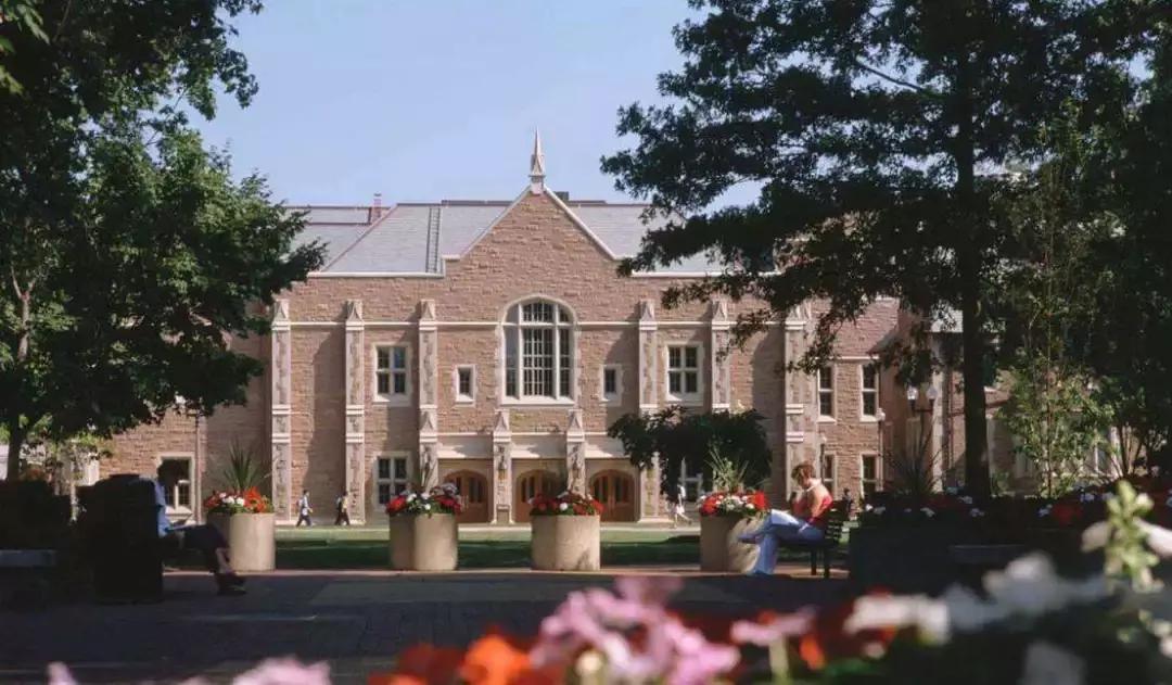 各大平台网红区别,都是网红的村