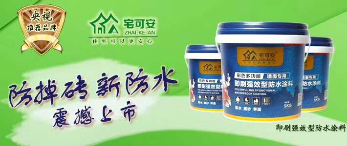 哪个防水涂料品牌有区域保护政策？