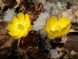 每个人记忆中的姥姥,你们记忆中的姥姥是什么样的