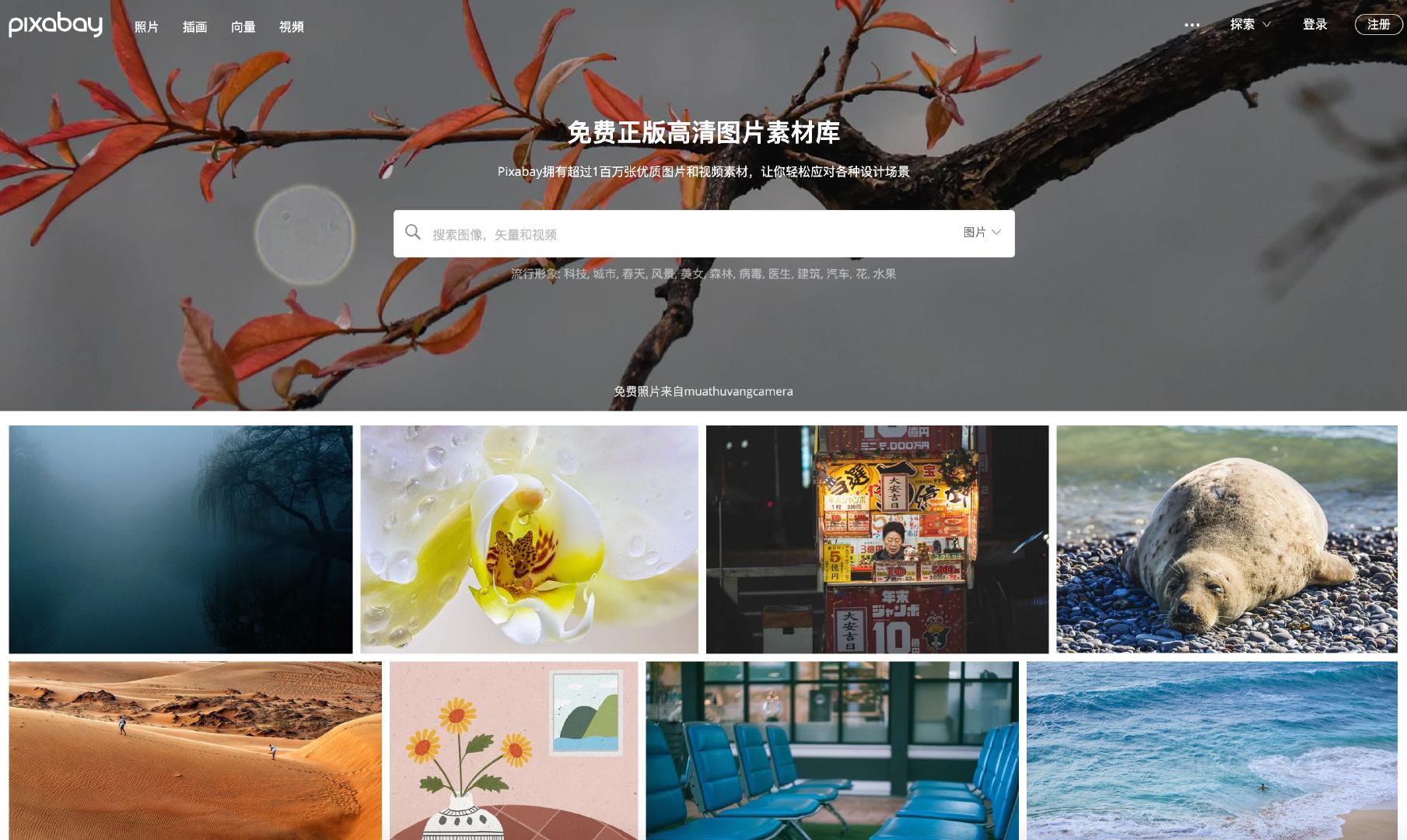 7个以图搜图的识图网站推荐,10个实用的搜图网站