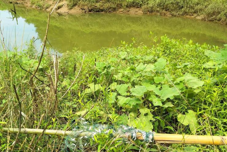 水库网箱养殖经济效益怎么样,综合养鱼怎么经济效益最好