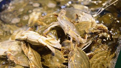 舟山梭子蟹为什么价格这么高,舟山梭子蟹价格为啥差那么多