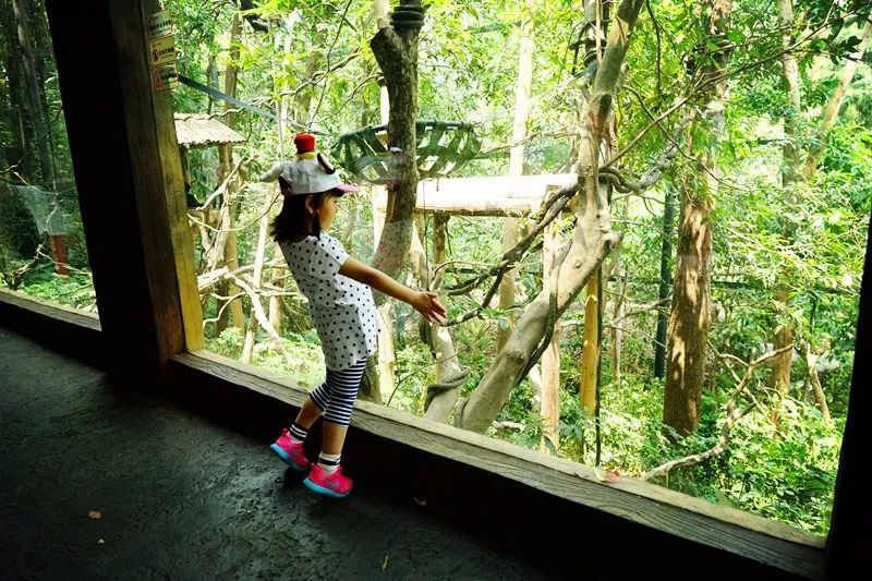 广州旅游攻略长隆动物世界,亲子游广州长隆动物园