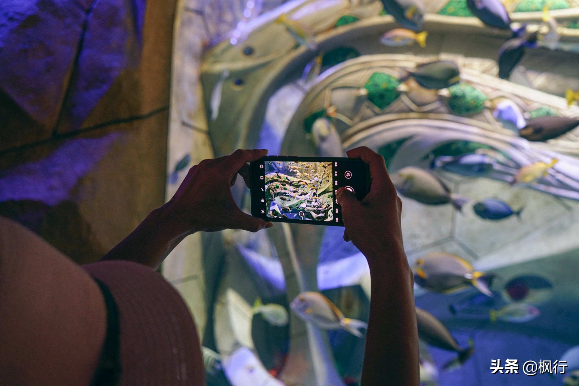 被猴子袭击，门票昂贵，拍照被轰，被我全程吐槽的三亚到底值不值