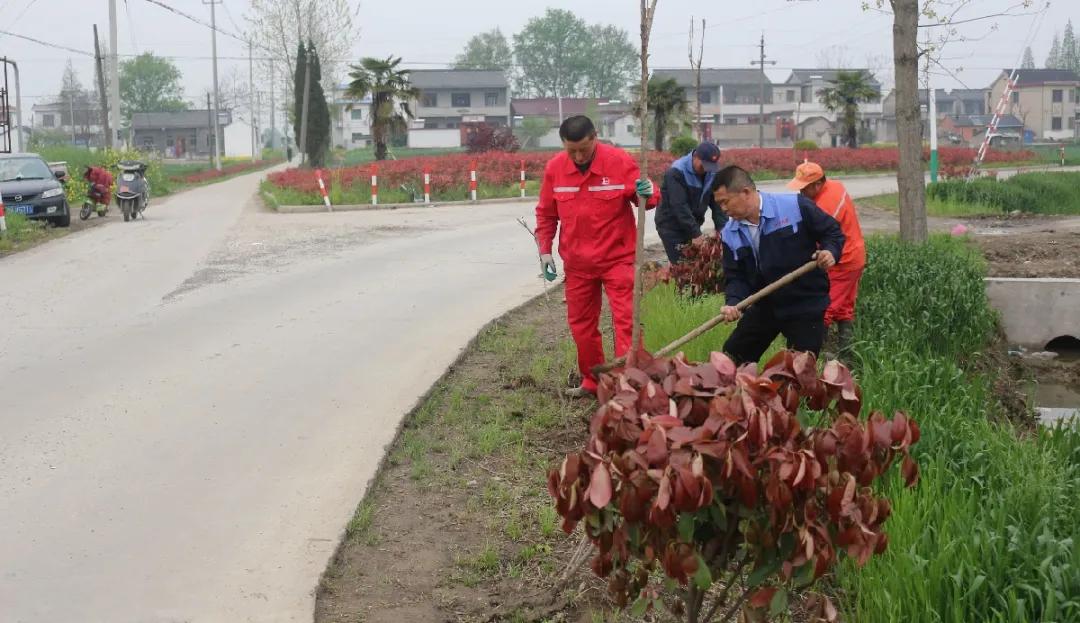 「劳模风采」描绘美丽乡村新画卷—记扬州市劳动模范、江都区真武镇真武村*党**总支部书记戴尔庆