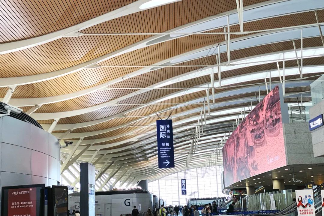 澳门旅游入境攻略,澳门自由行入境攻略