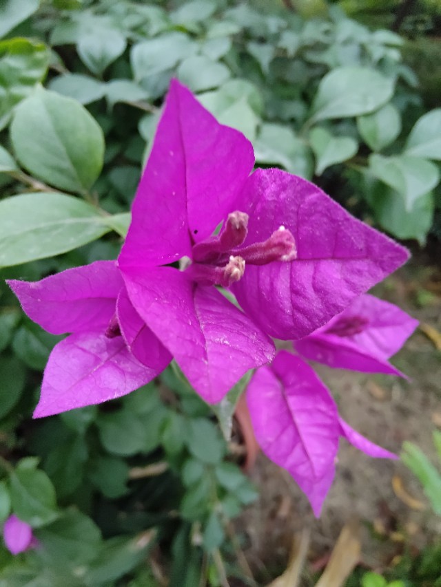 千古绝句求下联大全,绝句中的上联和下联