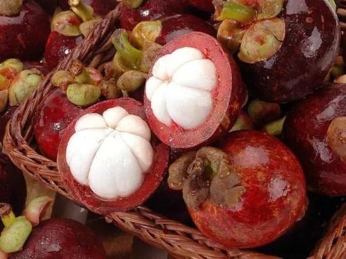 为什么那么多人移居马来西亚,移居马来西亚条件和费用