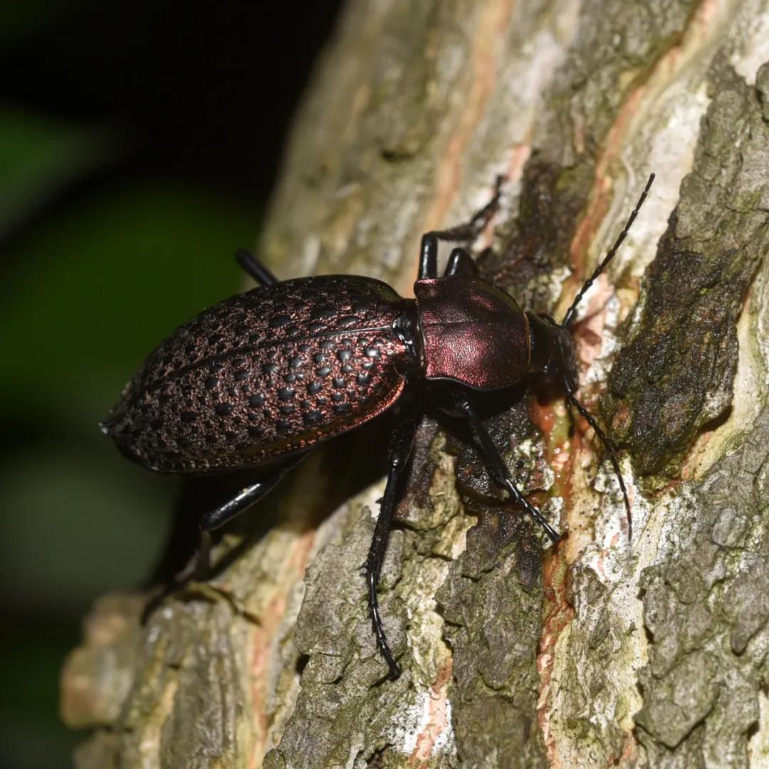 合肥融创茂宝藏秘境,合肥宝藏地