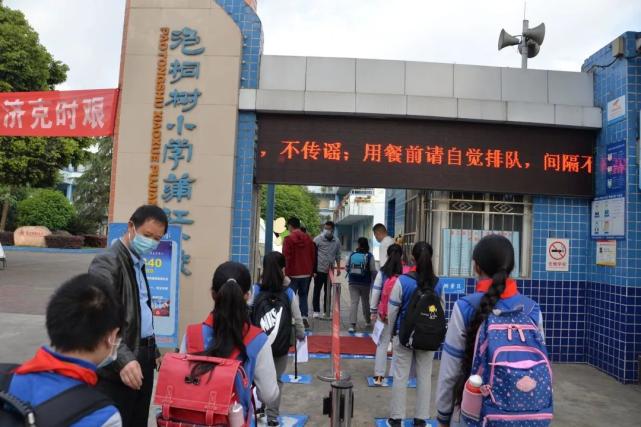 成都泡桐树小学哪个校区最好,泡桐树小学新津校区地理位置