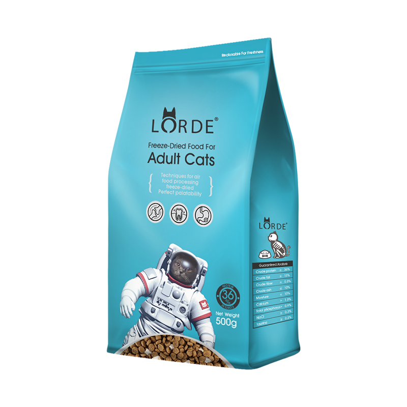 推荐买的十种猫,几百块推荐养的猫