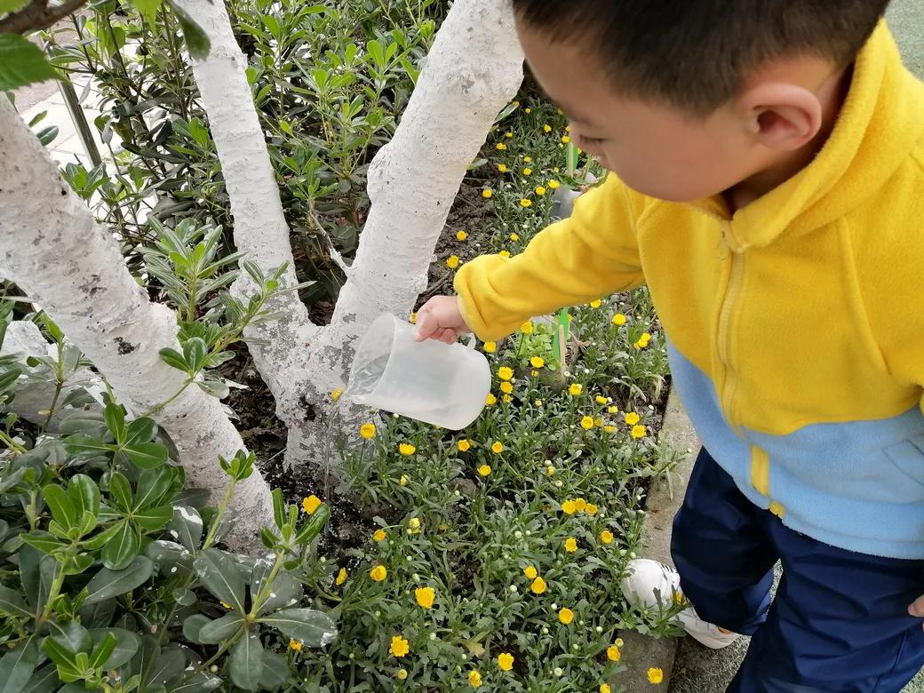 成都市双流区胜利幼儿园主题活动,天府新区幼儿园活动