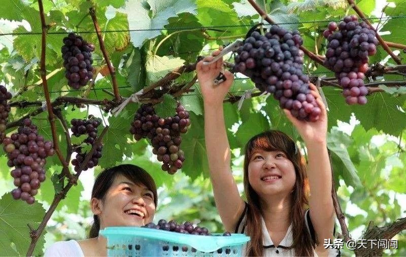 鲅鱼圈最强景点游玩攻略,鲅鱼圈旅游游玩攻略