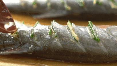 别再说“草鱼肚裆，青鱼尾”，我们将看一眼都没有了机会