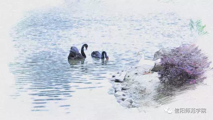 信阳师范学院绘画,信阳师院高清图片