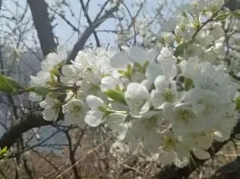 每个人记忆中的姥姥,你们记忆中的姥姥是什么样的