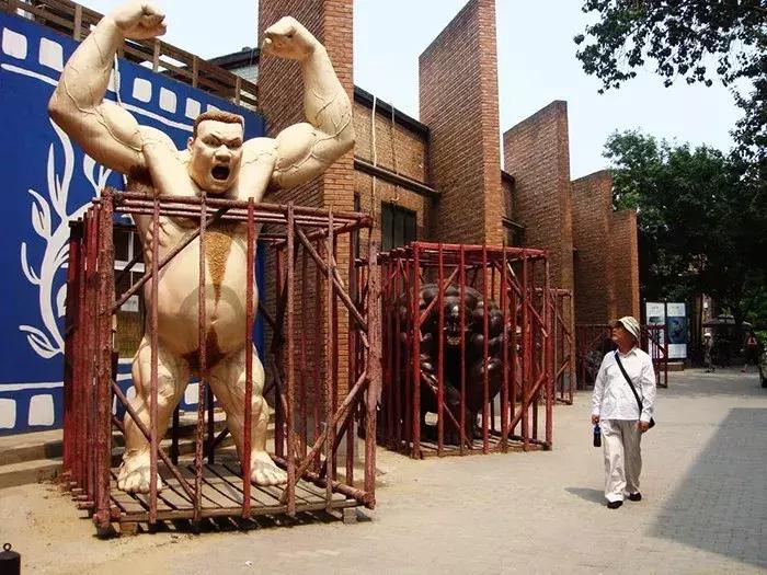 家住在北京朝阳区有什么好 (北京朝阳区哪个地方适合居住)