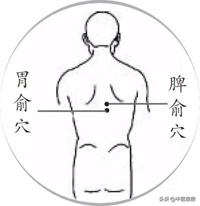 三伏灸的贴法,三伏贴冬病夏治怎么用