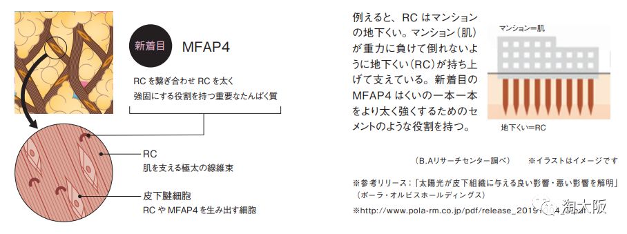黛珂防晒最新款,新款黛珂防晒
