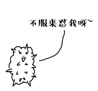 给大家科普一下海参,海参科普抖音