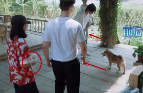 张子枫和小h,张子枫小h