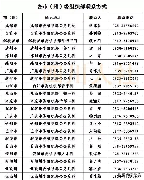 四川选调生2024选调公告官网,四川选调生2024选调公告名额