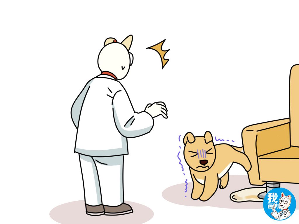 狗狗口渴的表现,狗狗喝水量异常增多