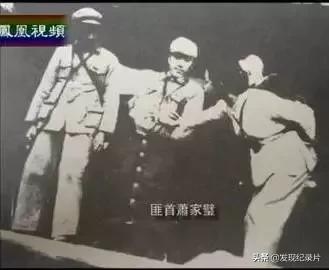 纪录片华夏文明大探秘,48部顶级文明中国纪录片