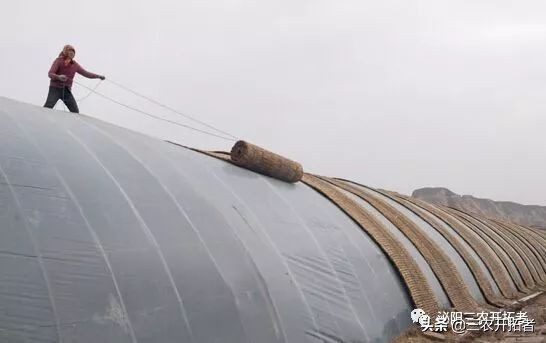 冬季怎样给大棚增温,冬天大棚增温措施有哪些