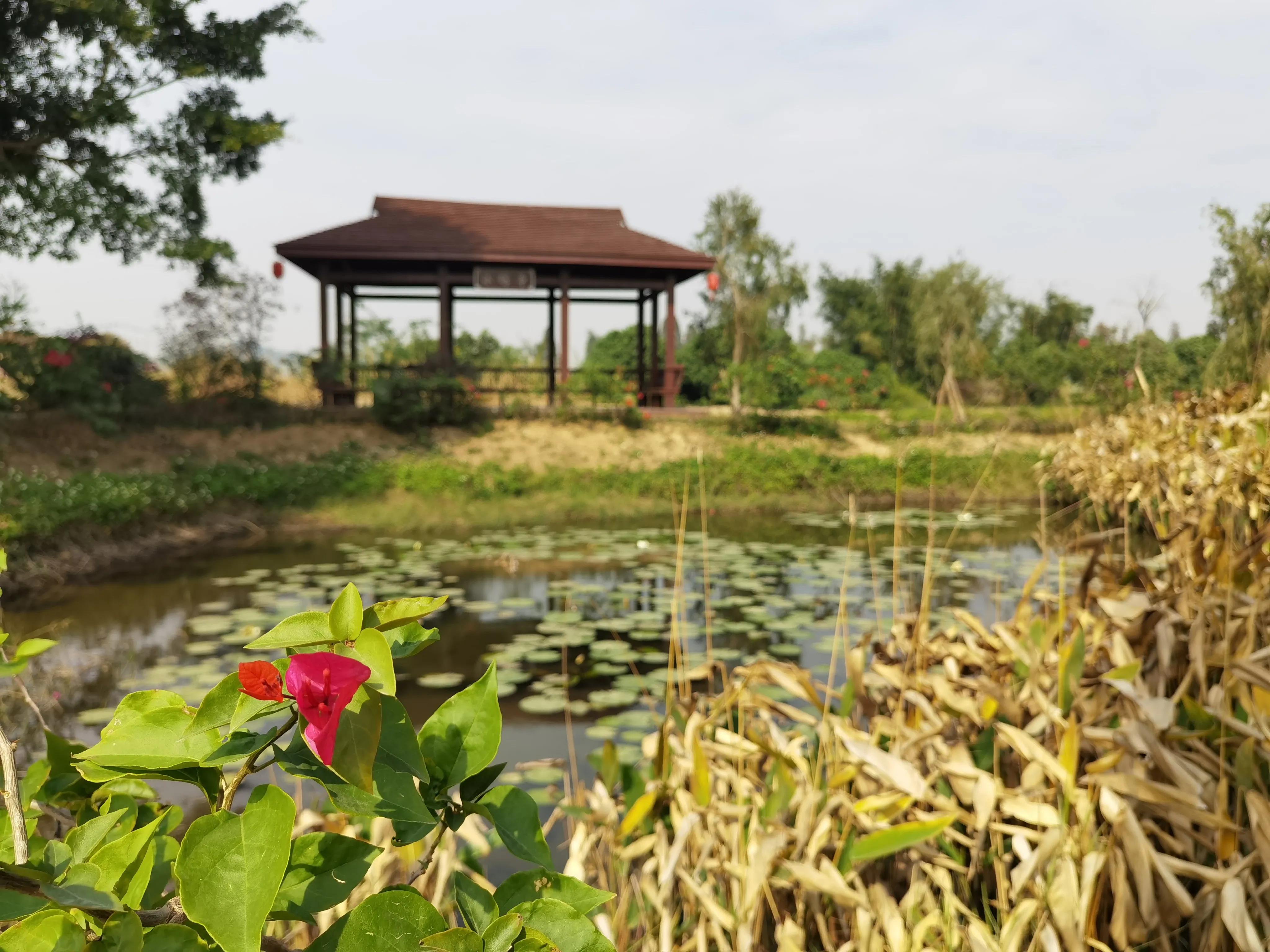 珠海一日游攻略普陀寺,珠海金台寺一日游攻略