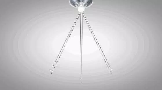 显微镜下的蚊子嘴巴,显微镜下的蚊子吸血全过程