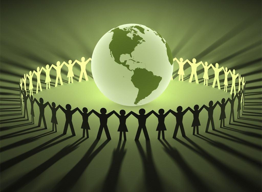 揭露蜂蜜市场惊天骗局,卖蜂蜜网红杨霞事件