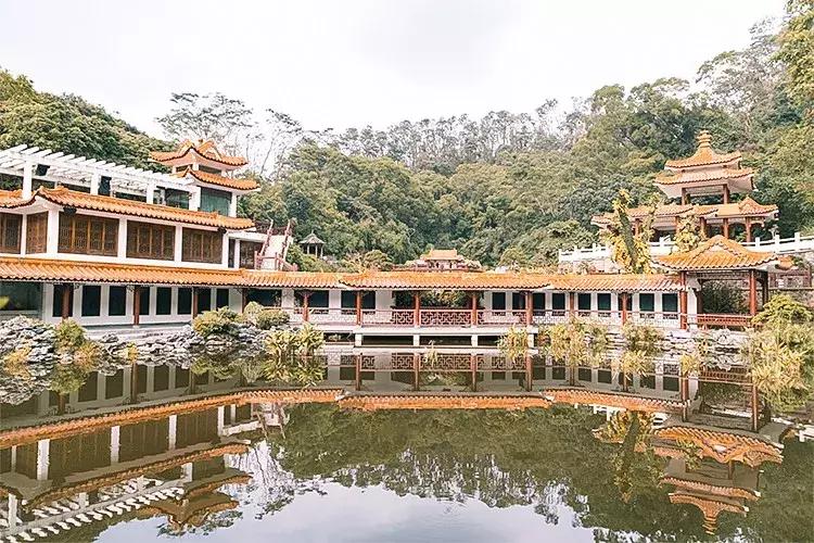 附近莲塘,附近的莲塘