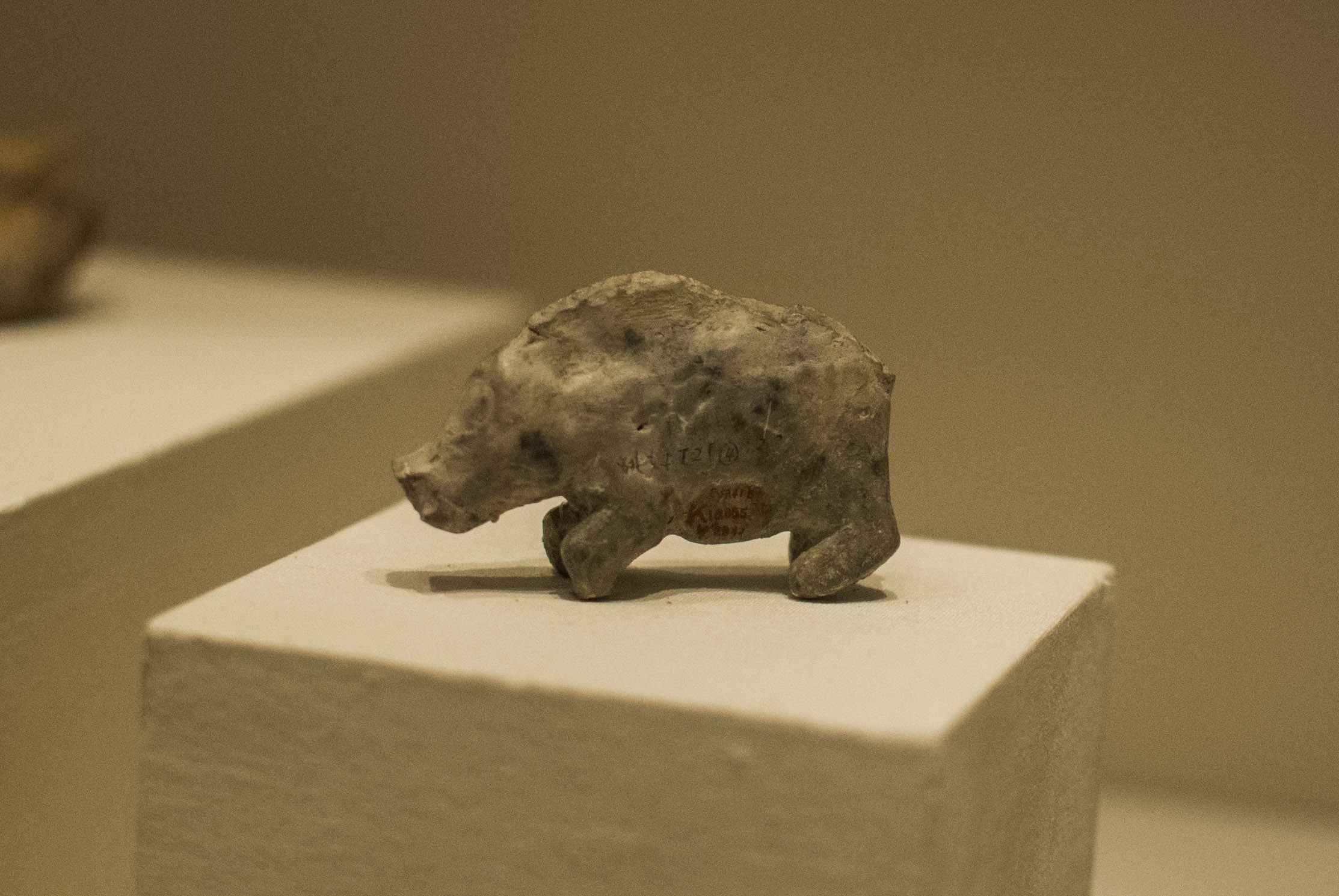 猪不同阶段都需要什么,为什么猪能活到现在