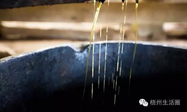 “茶油煮饭，锅底刮烂”！罗定的你试过了吗？