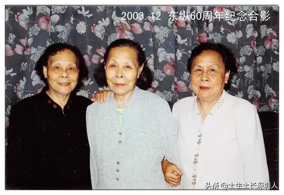 深圳广府家族,宗族文化在广东有多强