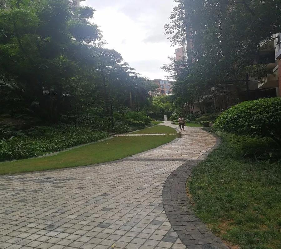 星河丹堤小区效果图,星河丹堤航拍视频