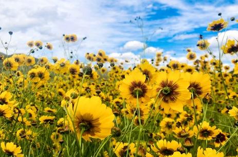 我的父亲曾经是一名军人图片,父亲尘肺3期3年了